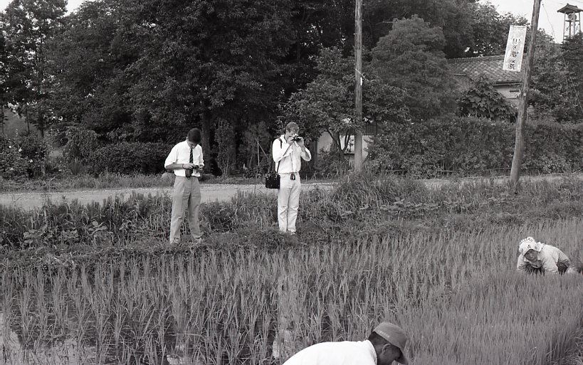 1965 オランダ留学生視察041.jpg
